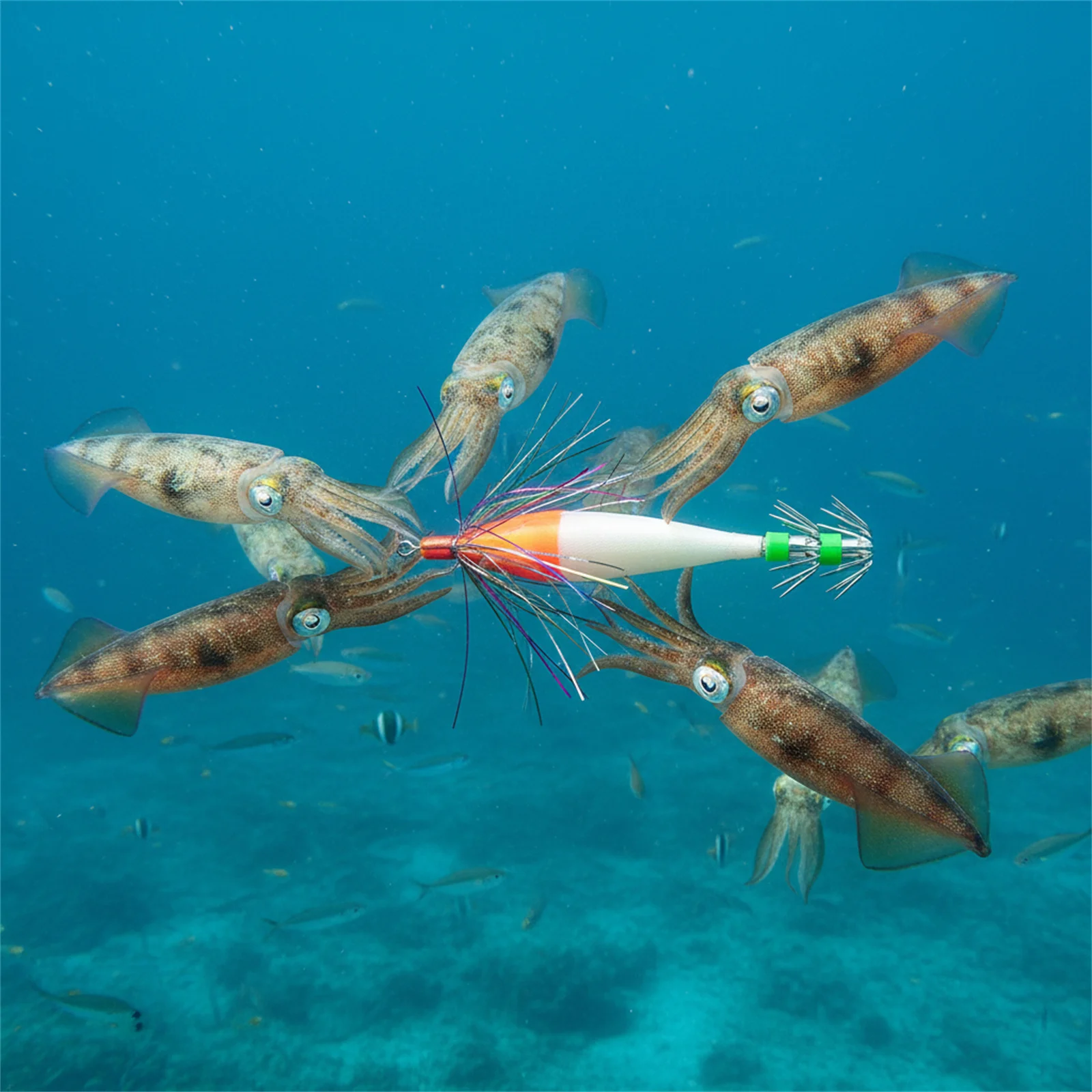 Señuelos de pesca luminosos, anzuelo de calamar artificial simulado para lubina, urdimbre, paraguas, anzuelo de explosión, cebo de Jigging portátil - imagen 5