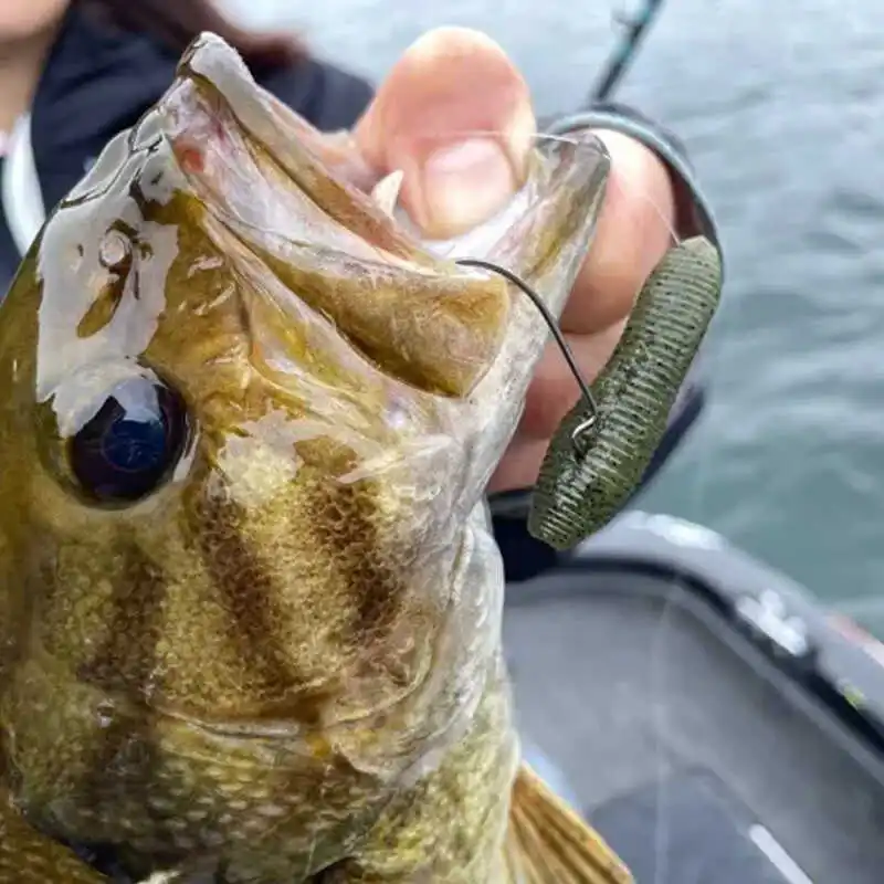 Señuelo japonés OSP de alta gravedad específica, patatas sumerjadas, sin plomo, especias, cebo blando, grupo de pesca, 50/65/80 Mm - imagen 2