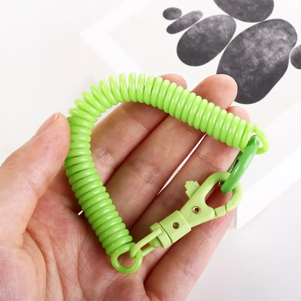 Llavero con silbato de cuerda con cierre de langosta, soporte para llavero, etiquetas, ganchos para llavero, pulsera, Primavera - imagen 5