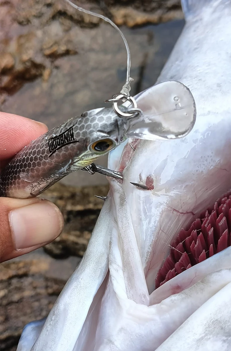 Señuelos Kingdom Sinking Minnow en varios tamaños