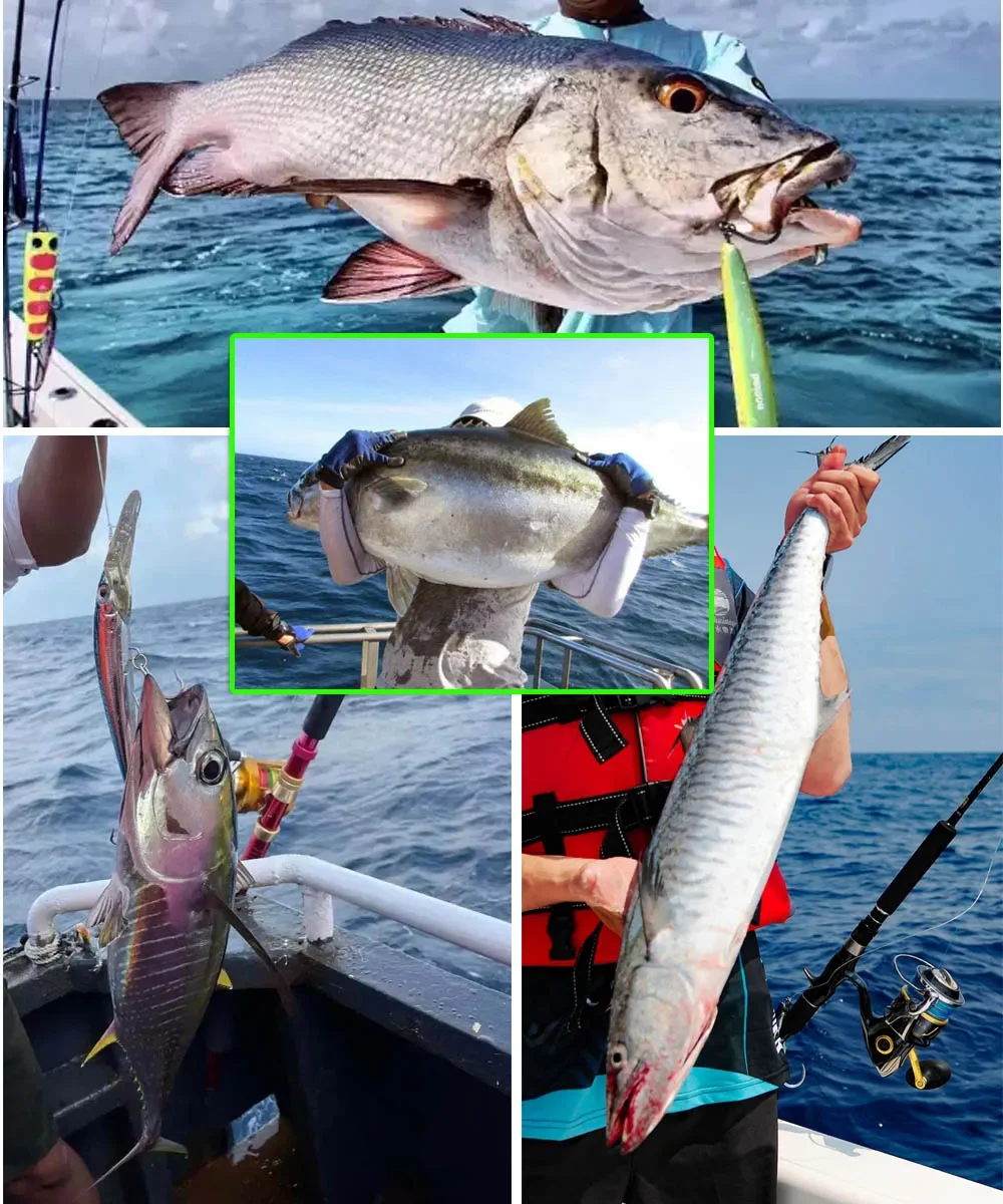 ¡Experimenta la emoción de la pesca con nuestro equipo de alta calidad y las impresionantes capturas!