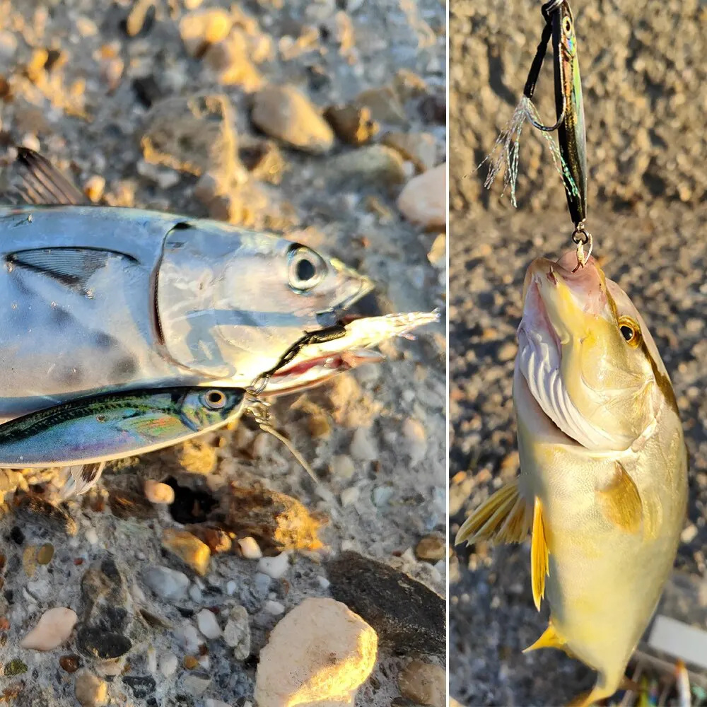 Señuelo de Pesca con plantilla de Metal, anzuelo fundido de 20g, cebo Artificial Swimbait, cubierta láser, accesorios para Lucio de mar, aparejos giratorios - imagen 5