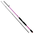 Spinning Rod