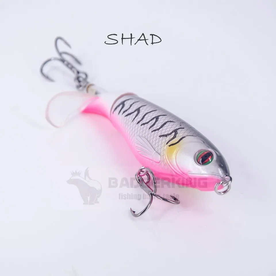 shad