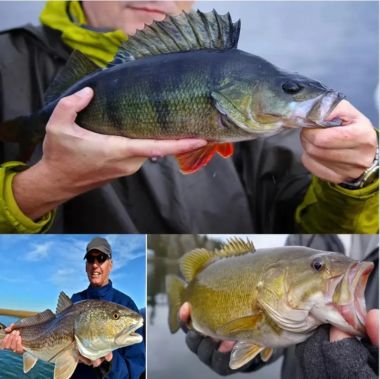 Sedal de Pesca de Mar X12, cable trenzado de 4 colores, fundición supersuave de PE, multifilamento suave de 25/30/39/50/65/77/92/120 Lbs - imagen 4