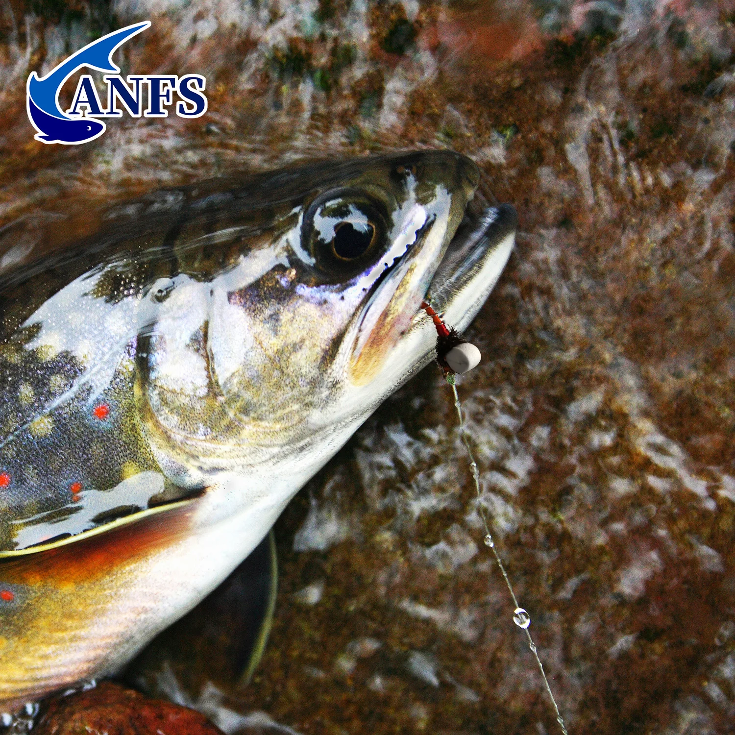 ANFS Buzzers con tirantes, moscas de trucha, paquete de 4 colores mezclados con caja para moscas, moscas de pesca - imagen 5