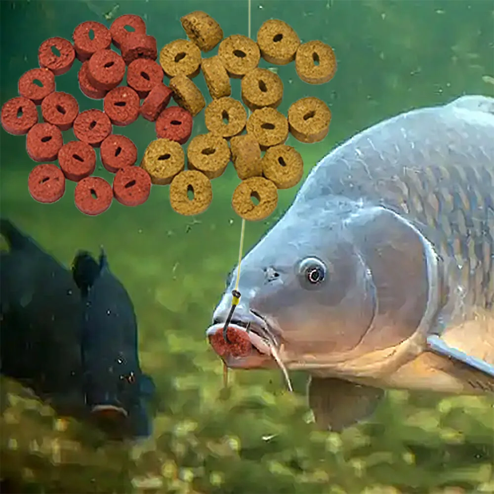 40 unids/caja cebo hueco gusanos rojos para pesca de carpa cebos de carpa Tilapia cebo señuelo partículas de insectos Boilie señuelo de pesca de lubina - imagen 5