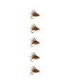 5PC