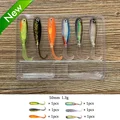 6pcs B10