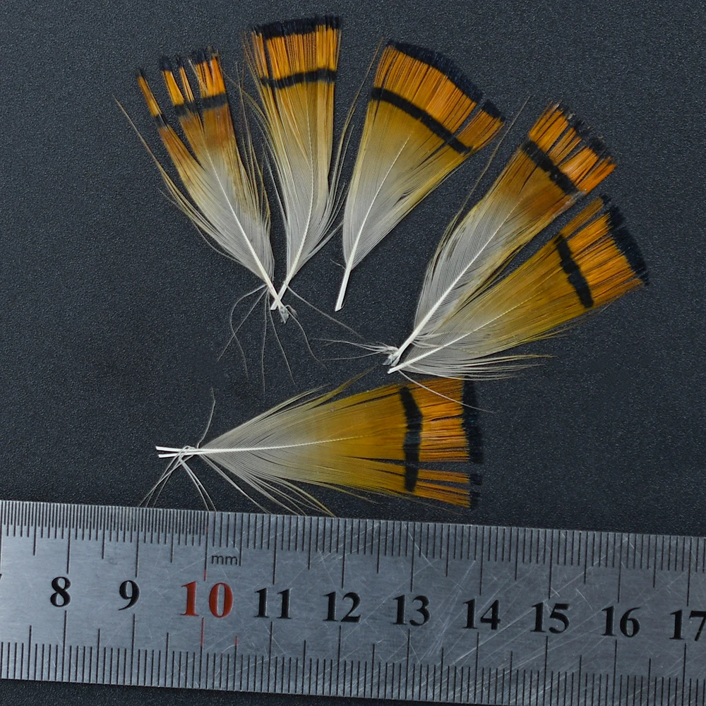 MNFT 50 Uds. Cabeza de faisán dorada Natural Crest & rump plumas para el cuerpo surtido alas y materiales para atar la cola pesca con mosca - imagen 4