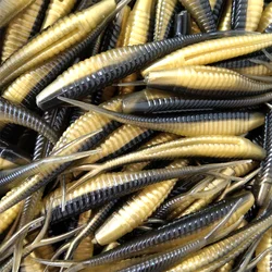Swolfy Jerk Minnow – Señuelo blando de cola dividida para lubina