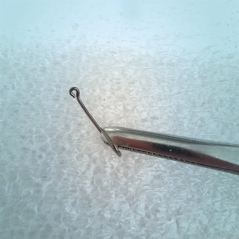 Anzuelos de Pesca de piezas, accesorios de Pesca con mosca de níquel, 1000 - imagen 4