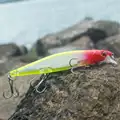 Fishlure-02