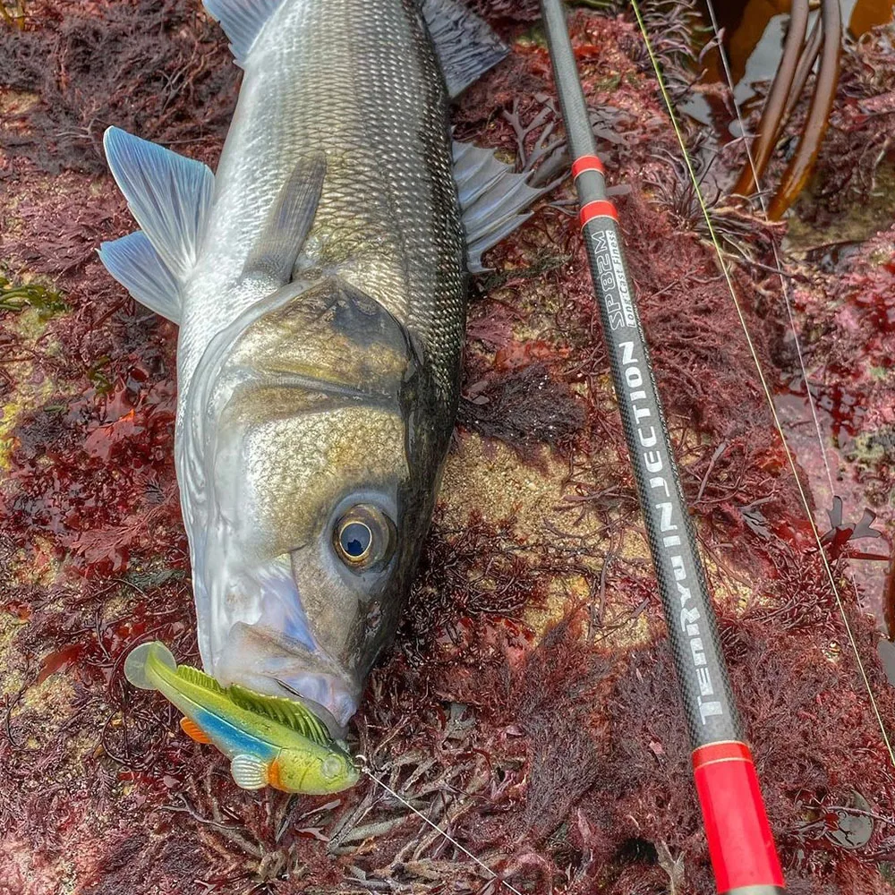 1/3/5 Uds. Señuelos de pesca de plástico blando 6,5 cm 12g 9cm 22g Shad Swimbait Pike Bass perca Walleye Zander pesca Softbait - imagen 5