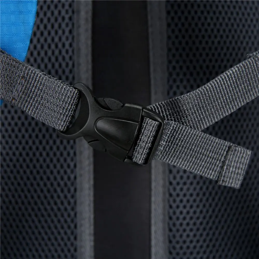 Aplicado de forma segura con una hebilla duradera para una mayor estabilidad