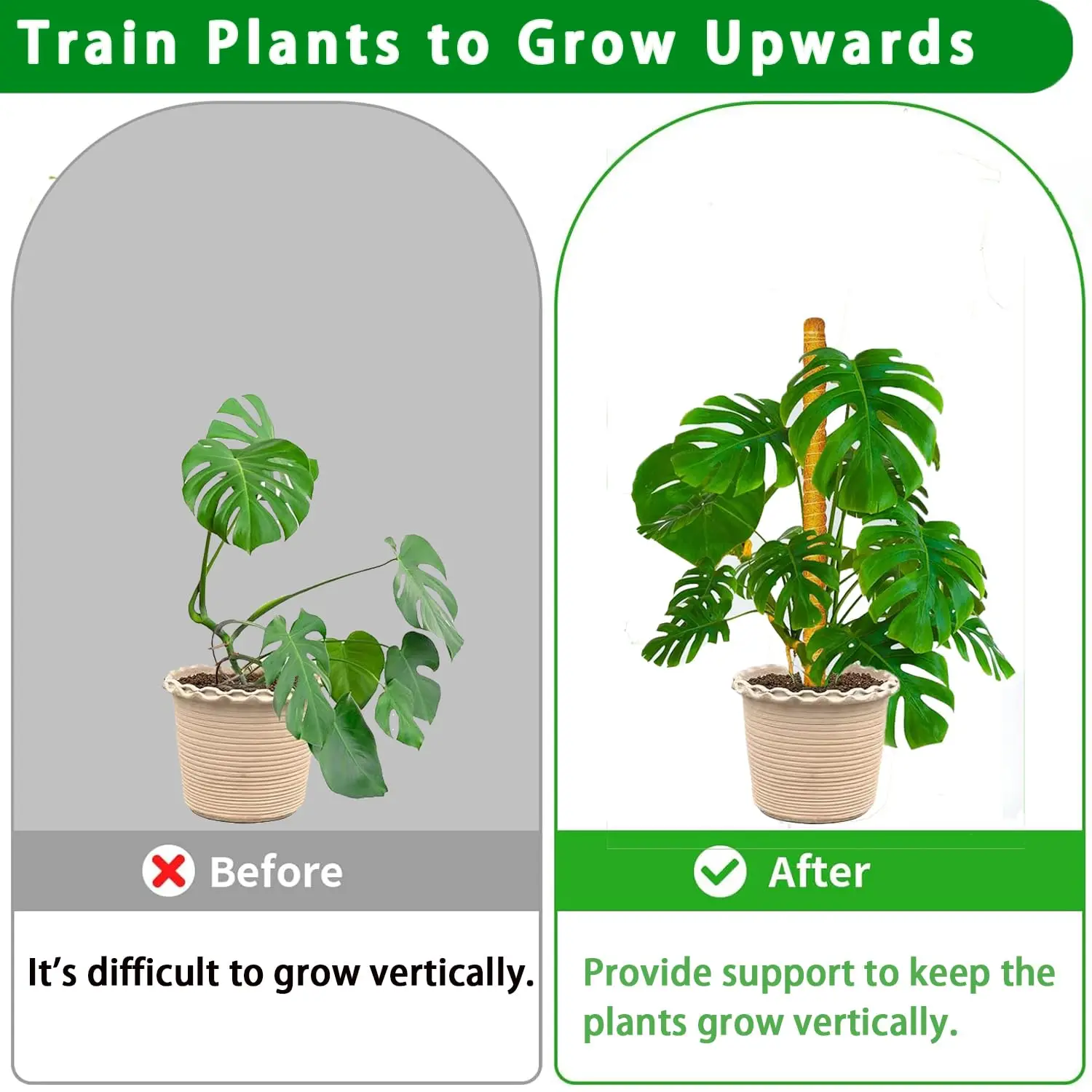 Postes de musgo, poste de musgo apilable para plantas Monstera para plantas trepadoras, tótem de fibra, soporte para plantas, estacas para plantas en macetas - imagen 5