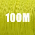 100M  Yellow