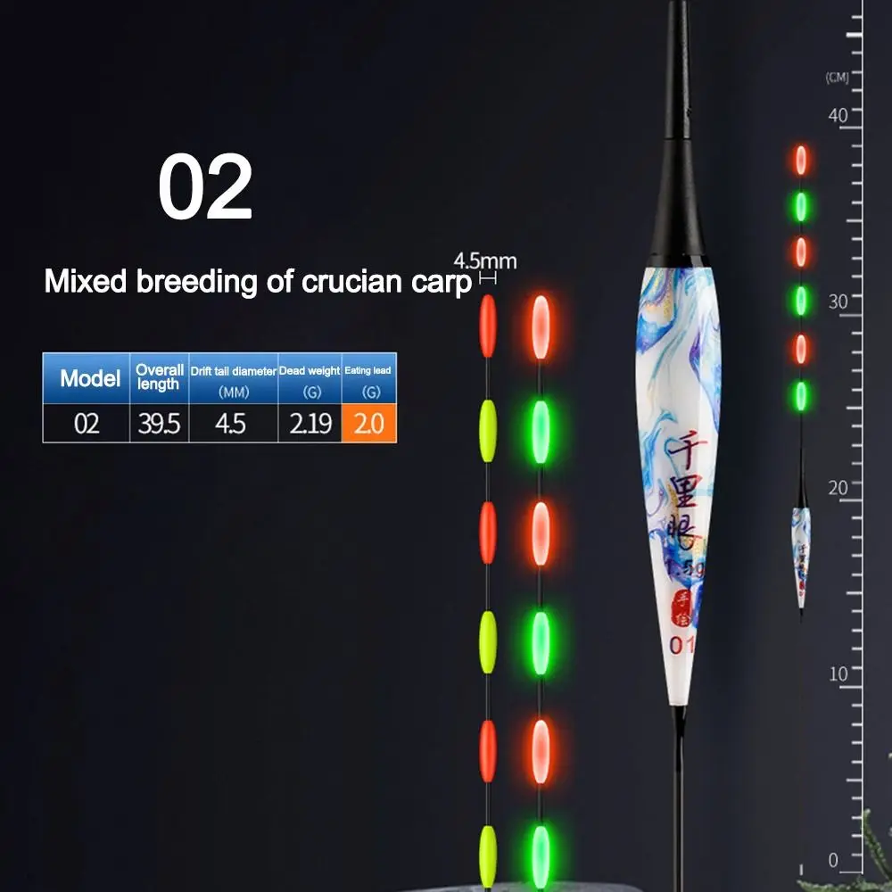 02-Crucian Carp Carp