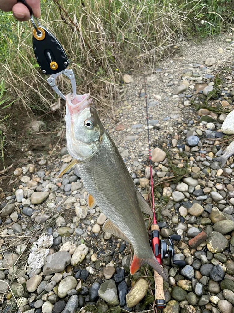 Mini agarre de pescado, aleación de aluminio, pequeño Clip de pesca, herramientas de señuelo para exteriores - imagen 3