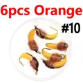 6PCS Orange 10