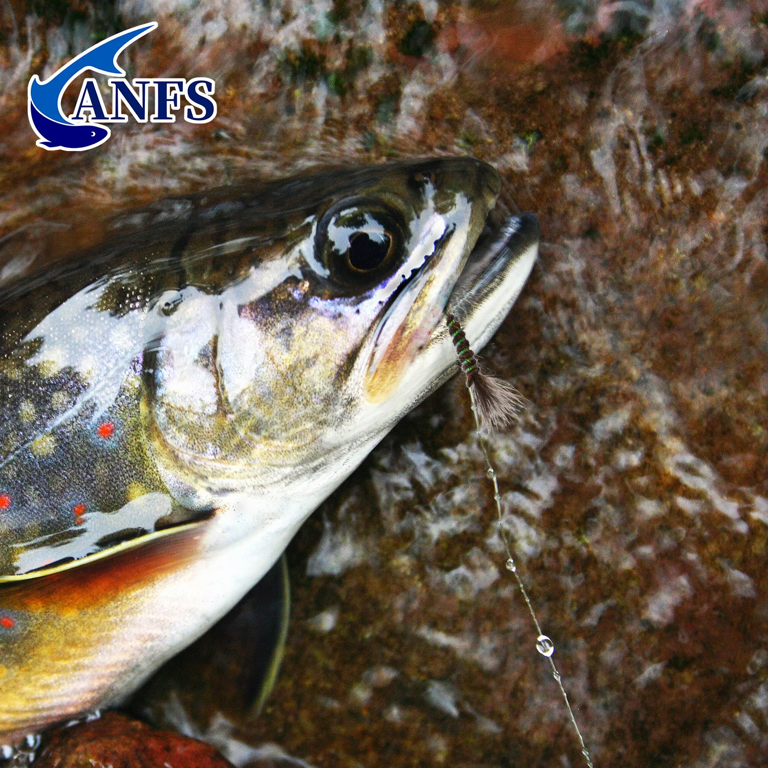 ANFS 4 Uds CDC Hares volante de oreja mosca de trucha con caja de mosca, moscas de trucha secas, regalo de pesca con mosca de trucha - imagen 4