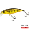 DW69-P