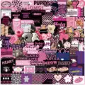 55PCS