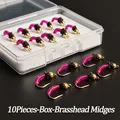 10Pieces