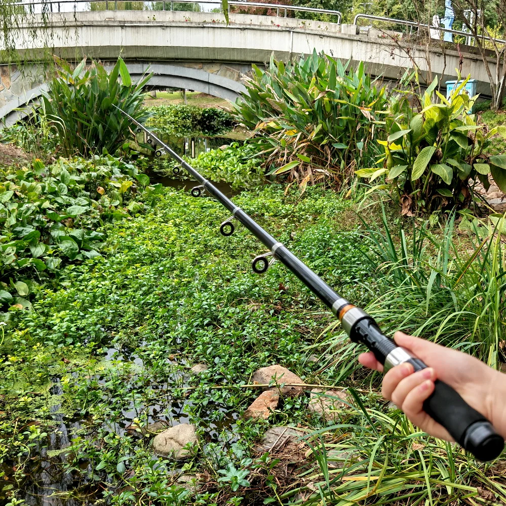 JOSBY caña de pescar telescópica giratoria mosca carpa alimentador fibra Pesca 2,3 M 2,1 M 1,5 M Mini caña de viaje asiento de carrete portátil ultra corto
