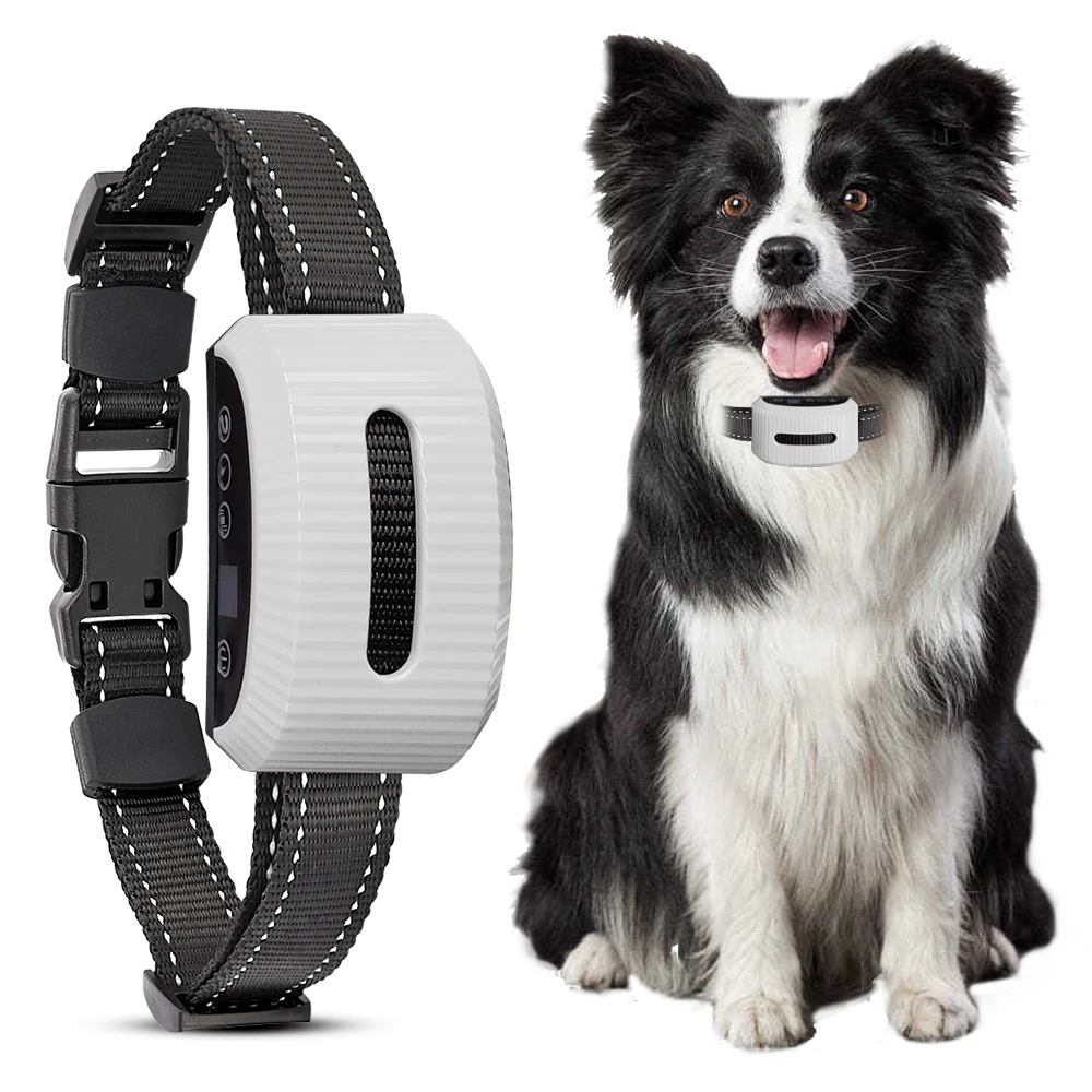 Collar eléctrico PUPOPAN con 3 modos de entrenamiento y vibración impermeable - imagen 3