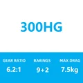 300HG