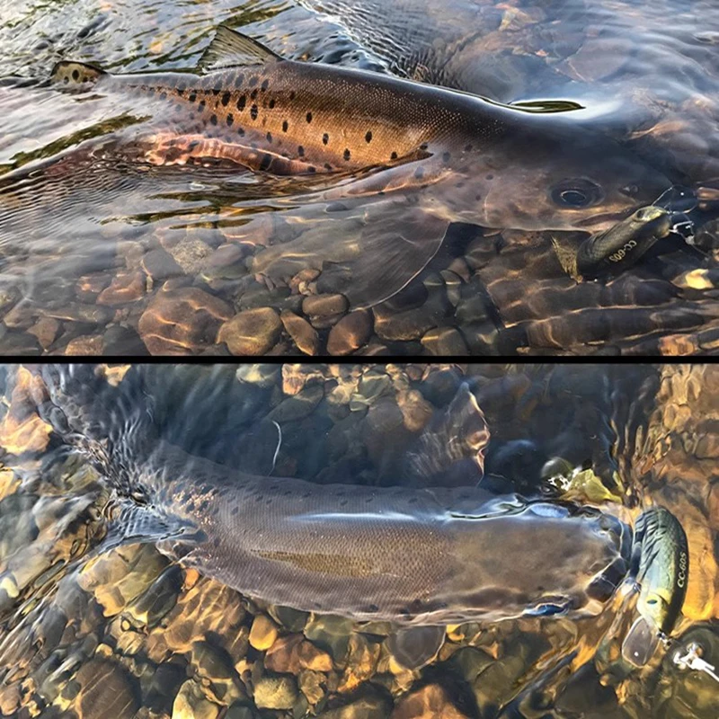 Lurefans-señuelo de Pesca de pececillo de hundimiento lento CC60/60S, 9,5g/9,6g, CrankBait, bamboleante Artificial para lubina, trucha, cebo duro - imagen 5