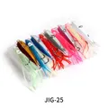 JIG25