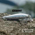 slivershinner