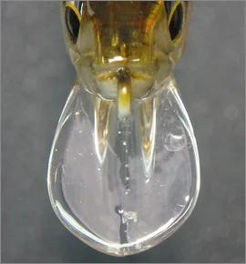 IMAKATSU-Cebo subduro con gancho para agua de mar, cebo de agua dulce Mino flotante, gota remota, poco profunda, Xiangzhu - imagen 3