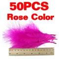 50pcs rose color