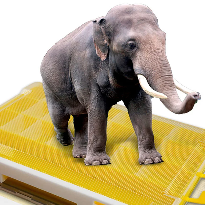 Caja de señuelos de pesca portátil, cajas de cebo de doble capa multifuncionales, caja de almacenamiento de peces de inserción extraíble XA10G - imagen 5