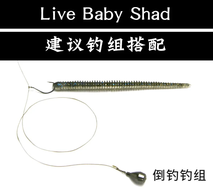 LAKE FORK US Imported Live Baby Shad Pequeño pez blando, pez de cola de una palabra, pesca invertida - imagen 4