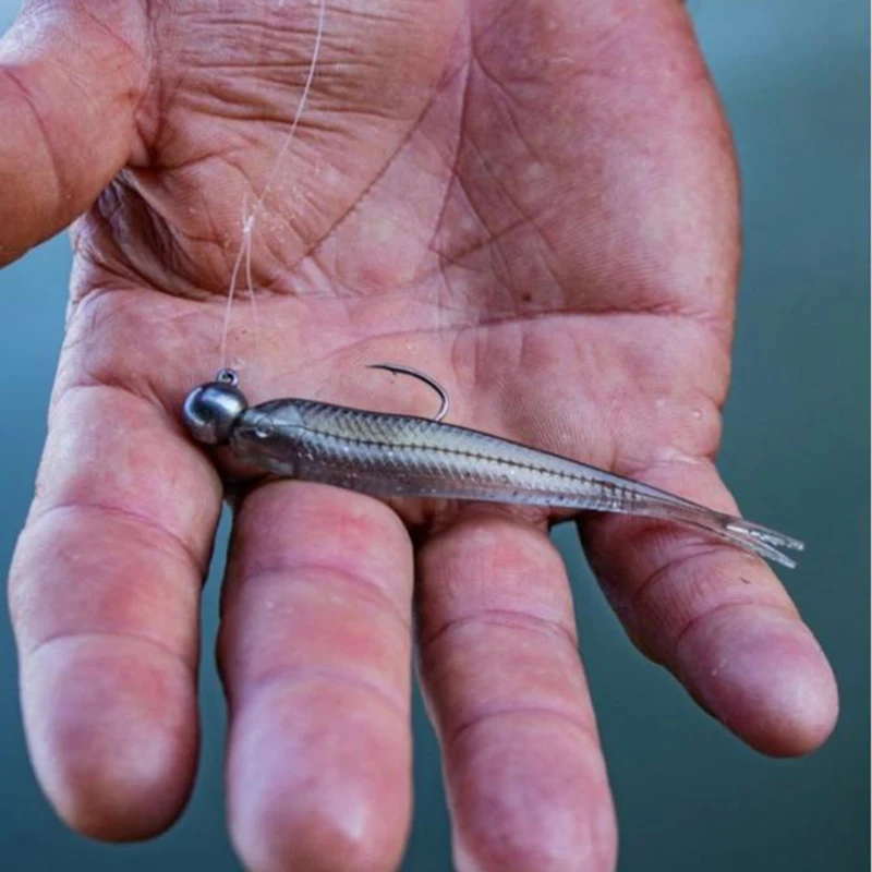 YUM-Cebo blando de cola de horquilla para pesca, accesorio importado de los Estados Unidos, FF Sonar Minnow Mino, Luya, perca Siniperca Chuatsi - imagen 4