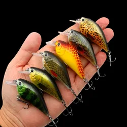 Crankbait flotante, señuelo duro para lubina y carpa