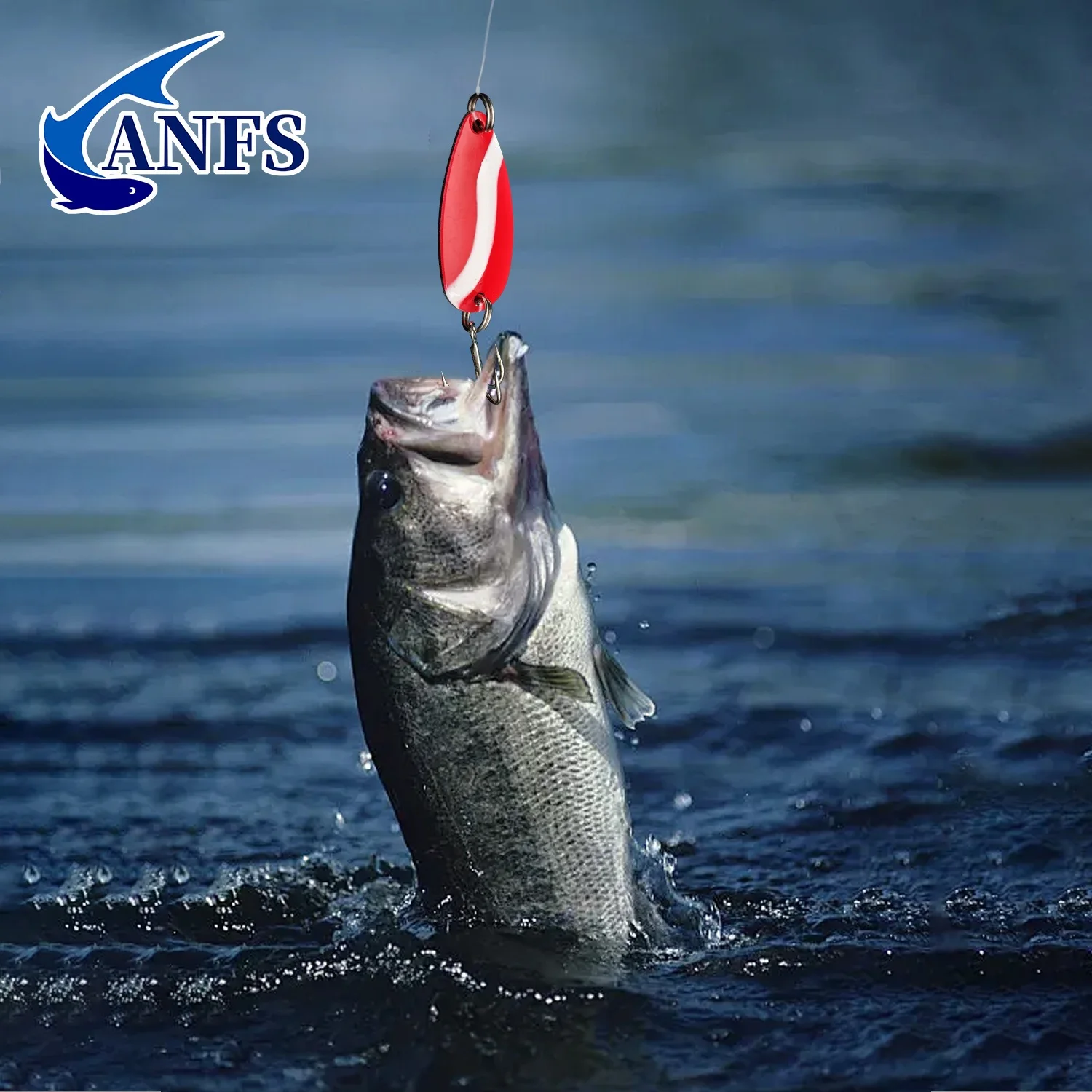 ANFS Spinners Spoon – Caja portátil para cucharillas giratorias - imagen 5