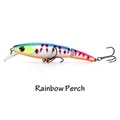 Rainbow Perch