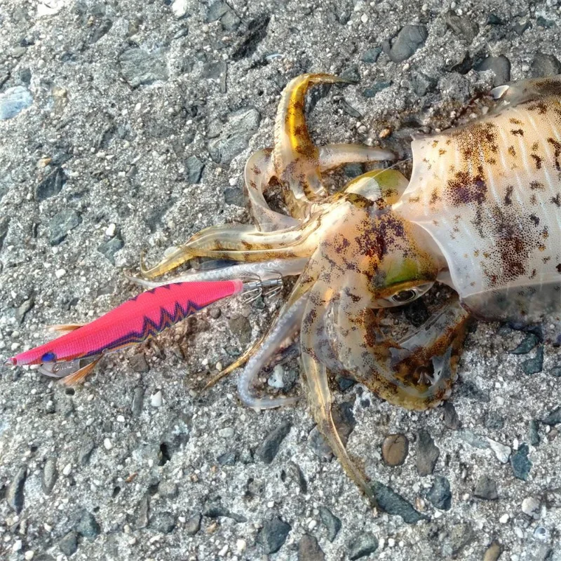 Goture 5 unids/lote cebo de calamar camarones de madera pesca en el mar señuelo 15g anzuelo con sonajero pulpo señuelo sepia luminosa Jigging calamar