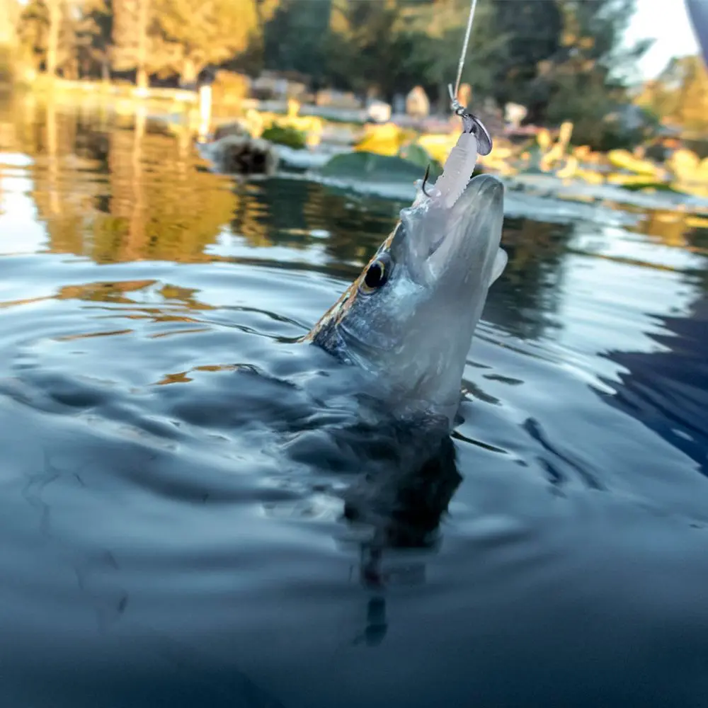 Goture-anzuelo con cabeza de anzuelo de pie, anzuelos de pesca con vaso, 3,5g, 5g, 7g, 10g, 14g, anzuelo con cabeza de plomo para pesca de trucha, salmón y lubina + caja de señuelos - imagen 3