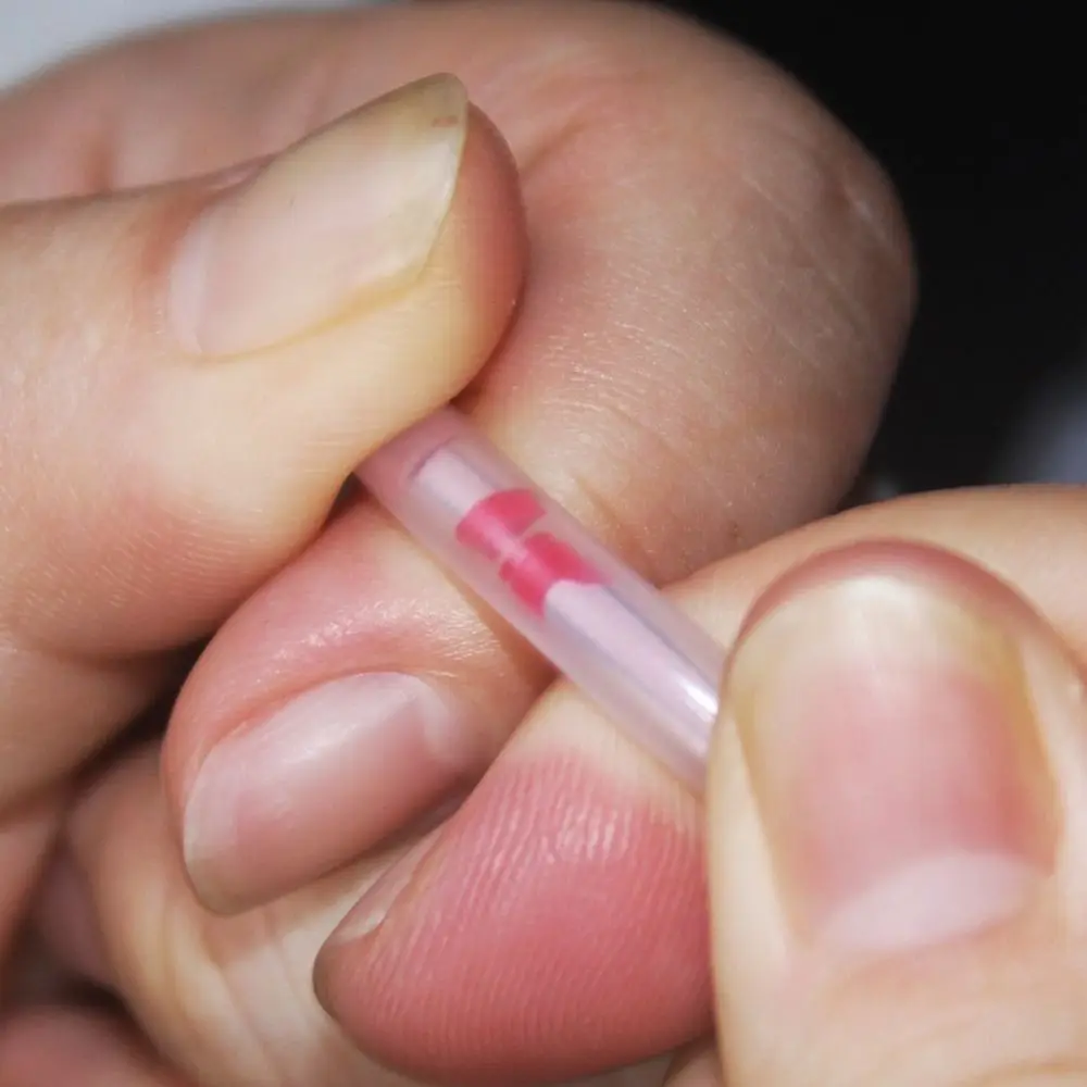 Barra de luz fluorescente para pesca, accesorios de flotador nocturno, flotador luminoso - imagen 4