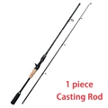 Casting Rod