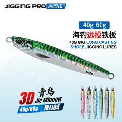 JIGGING PRO 40g 60g 3D Jig Minnow Casting Jig Shore Jigging señuelo pesca en el mar plantilla de Metal cebo