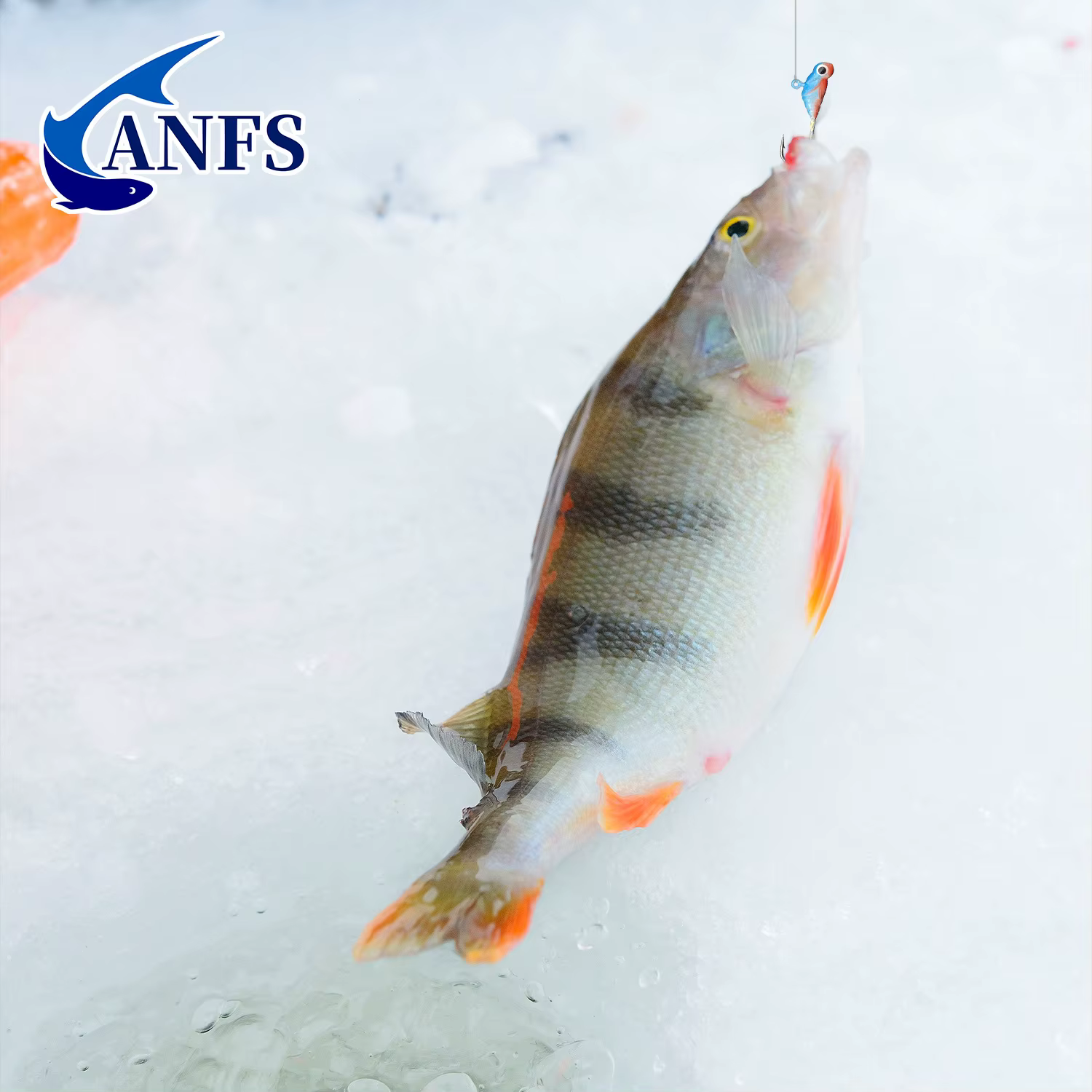 Jigs para pesca en hielo ANFS – 10 uds - imagen 4