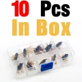 10 piezas en caja