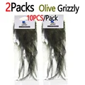 2Packs Olive Grizzly